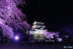 夜の小田原城６