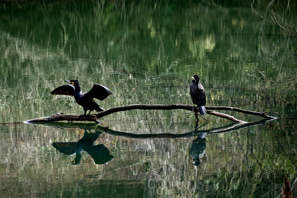 異世界への番人
