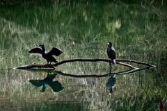 異世界への番人