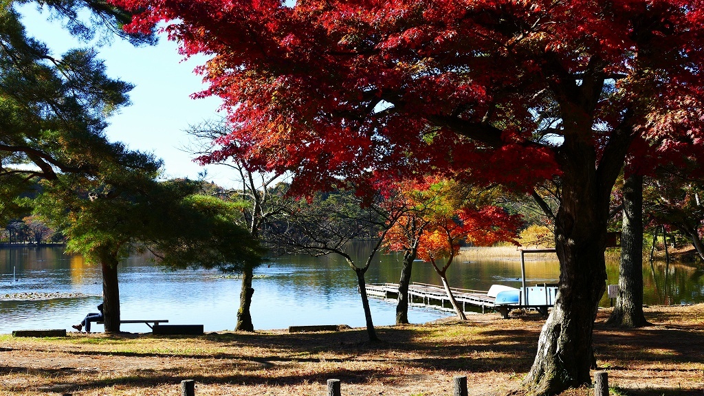 P1160585@白河市南湖