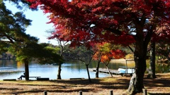 P1160585@白河市南湖