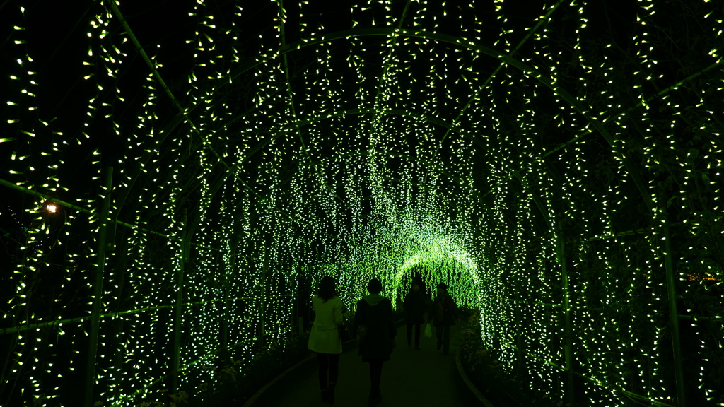 @足利フラワーパーク