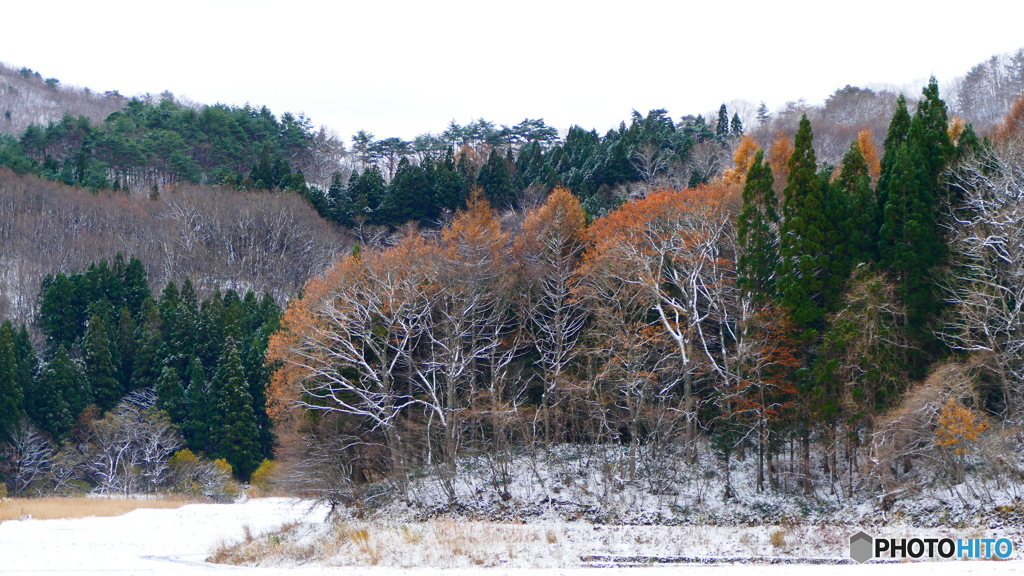 ついに冬が来た ３