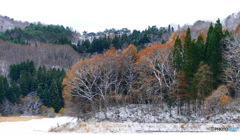 ついに冬が来た ３