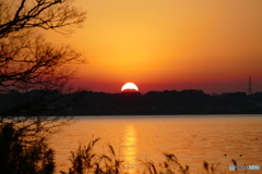 霞ヶ浦からのダイヤモンド富士 １