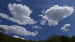 ５月なのに夏空？