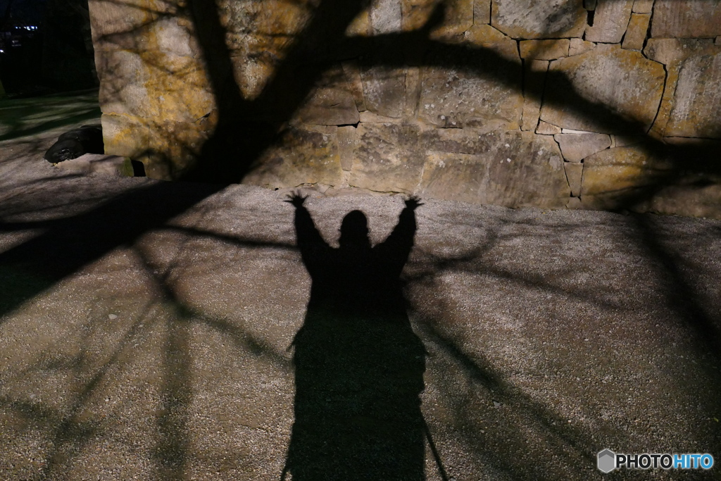 熊出没注意(笑)