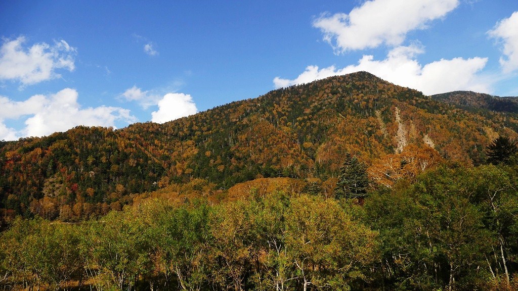 P1150203　奥日光