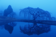 朝霧の夜明け１