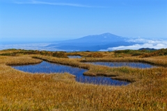 草紅葉始まる…