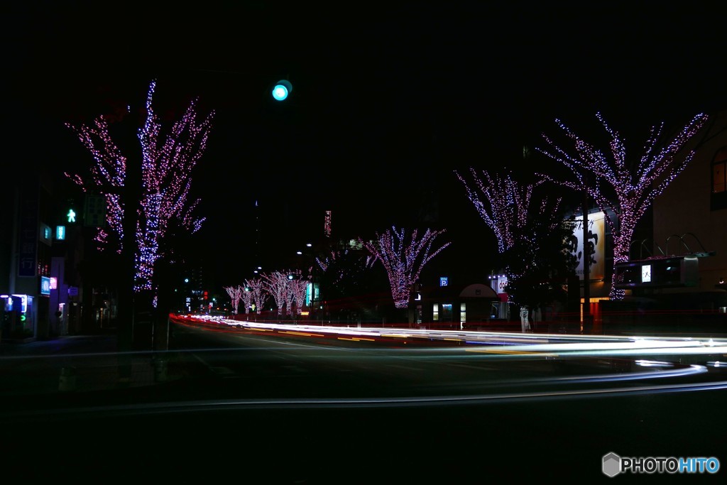 さくらのイルミ