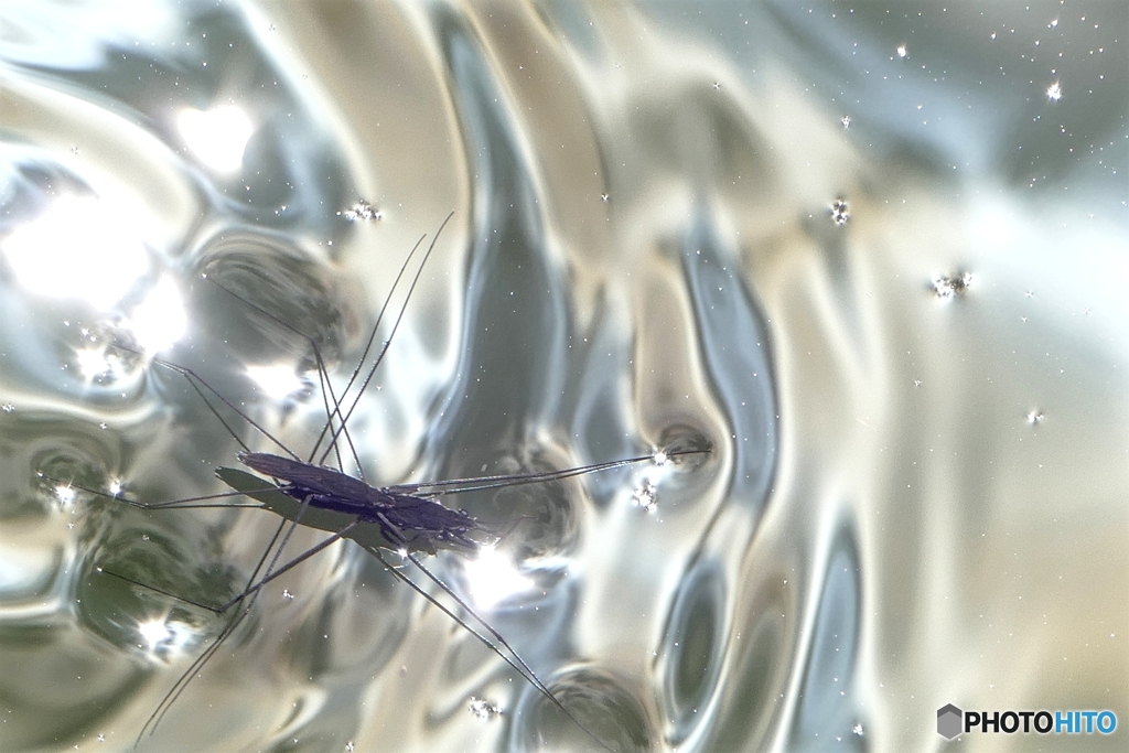 シルバーワールド ２