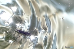 シルバーワールド ２