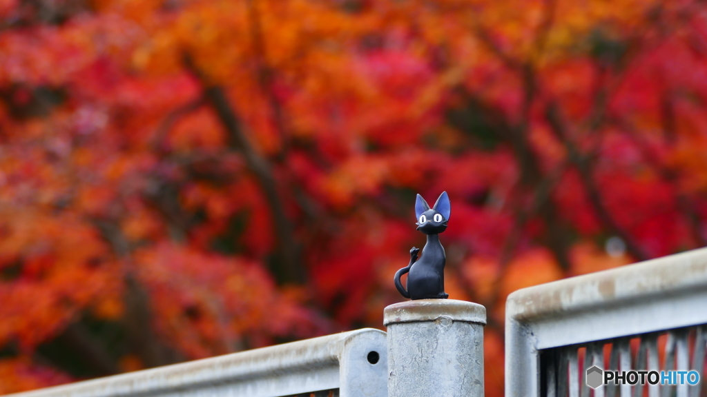 晩秋の草木湖 ４