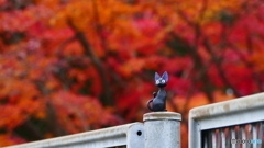 晩秋の草木湖 ４