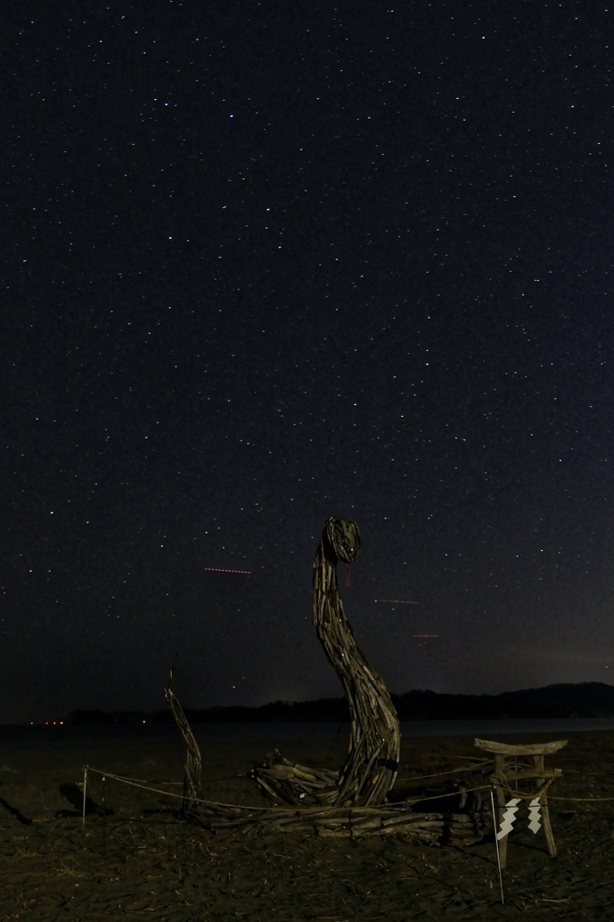 蛇と星空