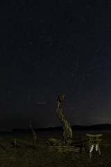 蛇と星空