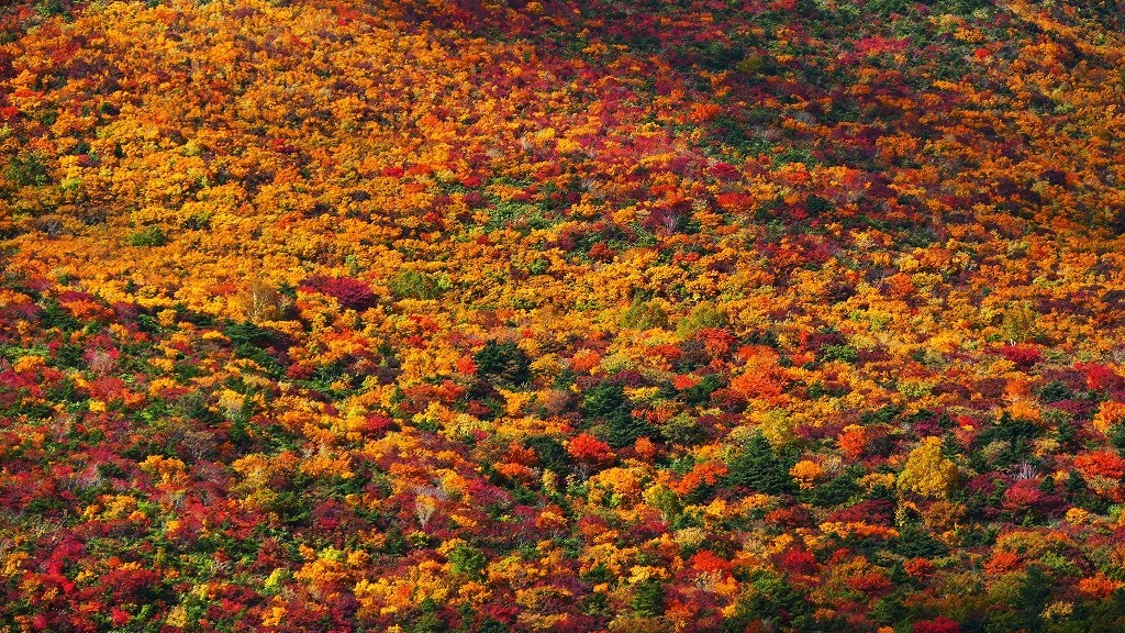 P1150291　安達太良連峰