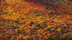 P1150291　安達太良連峰