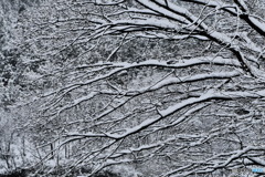 本日、吹雪なり ３