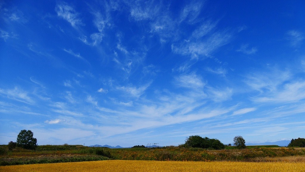 P1150629　@矢吹町