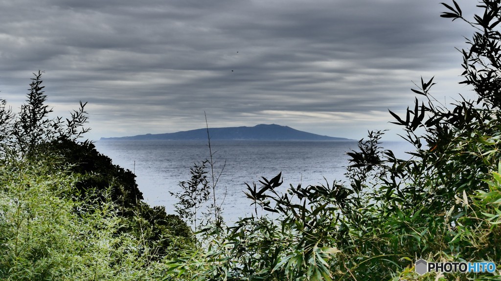 P1210420伊豆情景