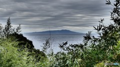 P1210420伊豆情景