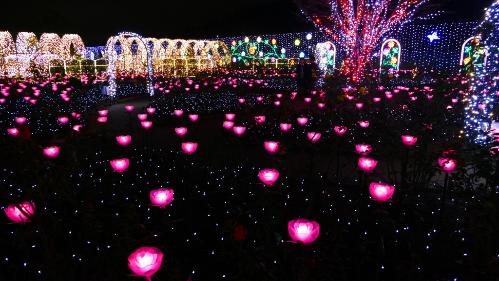 @足利フラワーパーク