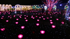 @足利フラワーパーク