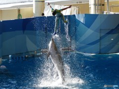 ＠江ノ島水族館