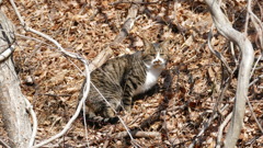 1180511 @御霊柩峠