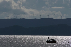 風車とボートと
