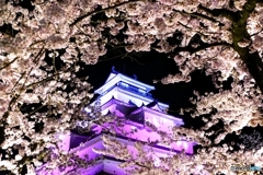 鶴ヶ城満開 その５