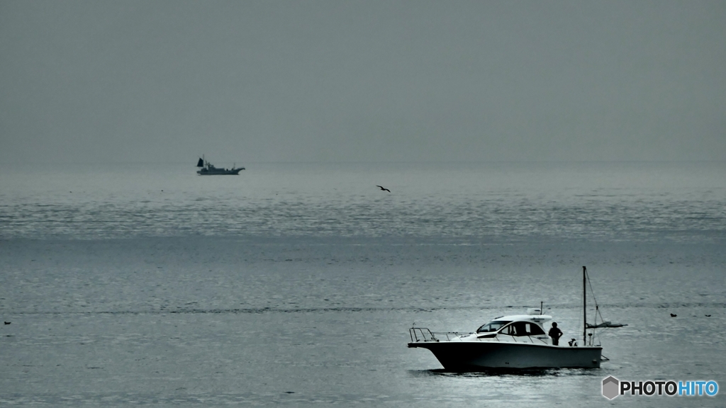 シードリームス