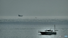 シードリームス