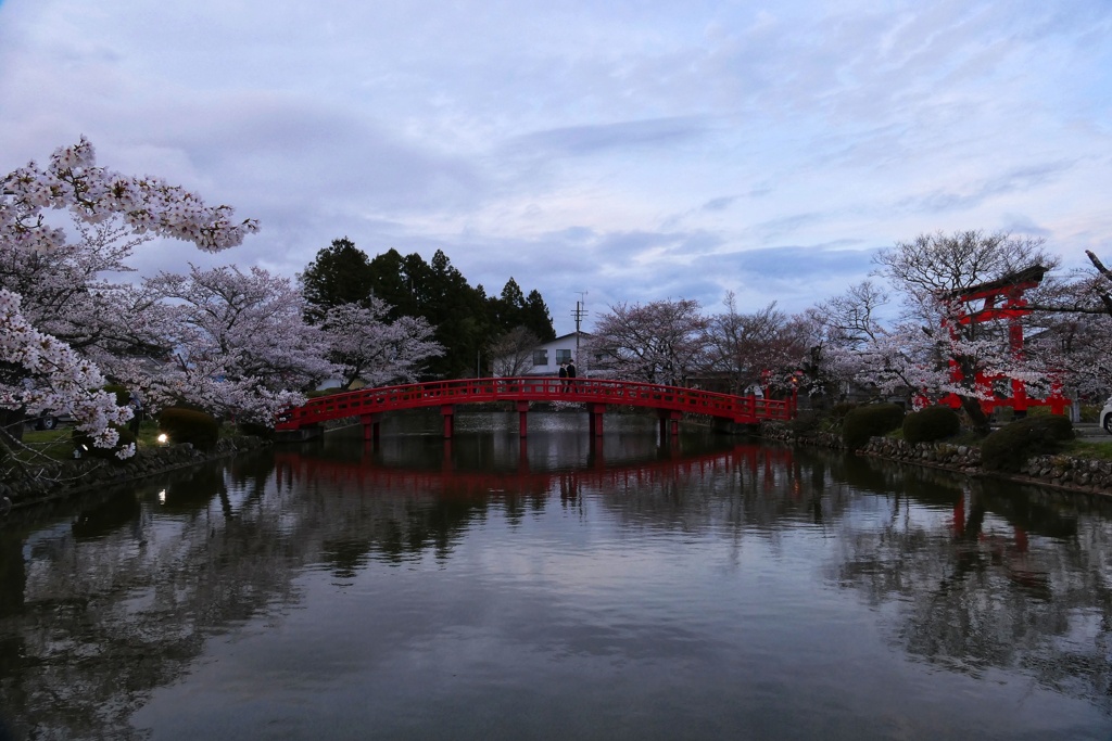 涼ケ岡八幡神社①