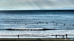 ＠江ノ島水族館