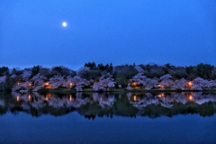 夜明け前