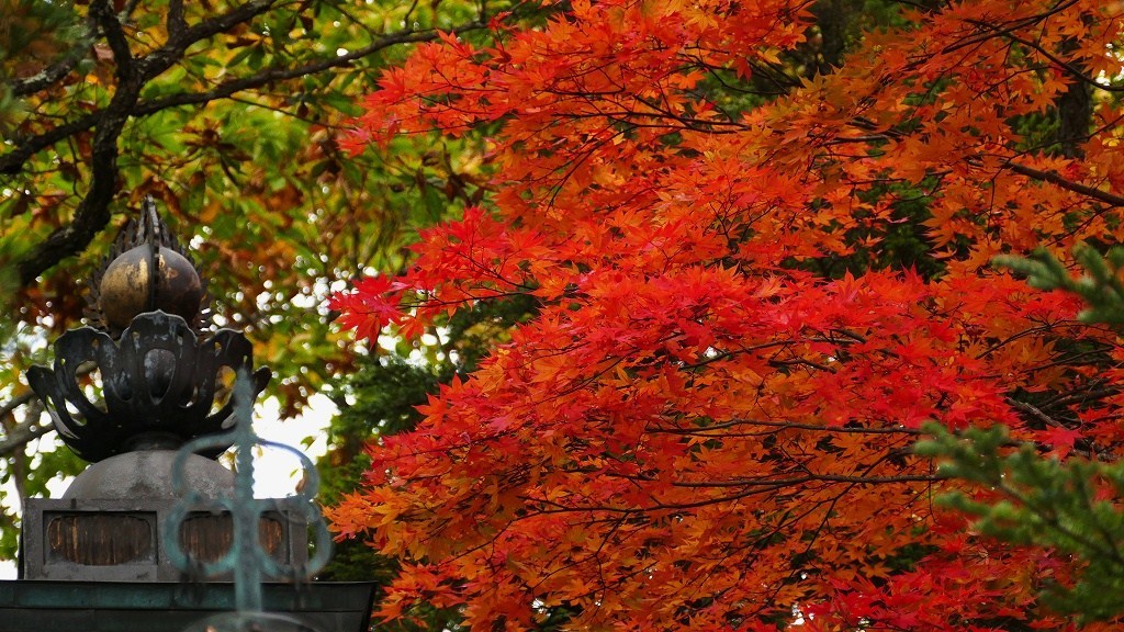 P1150012　奥日光