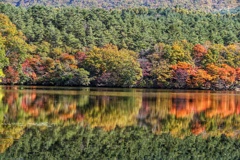 観音沼森林公園 観音沼森林公園