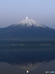 パール富士１