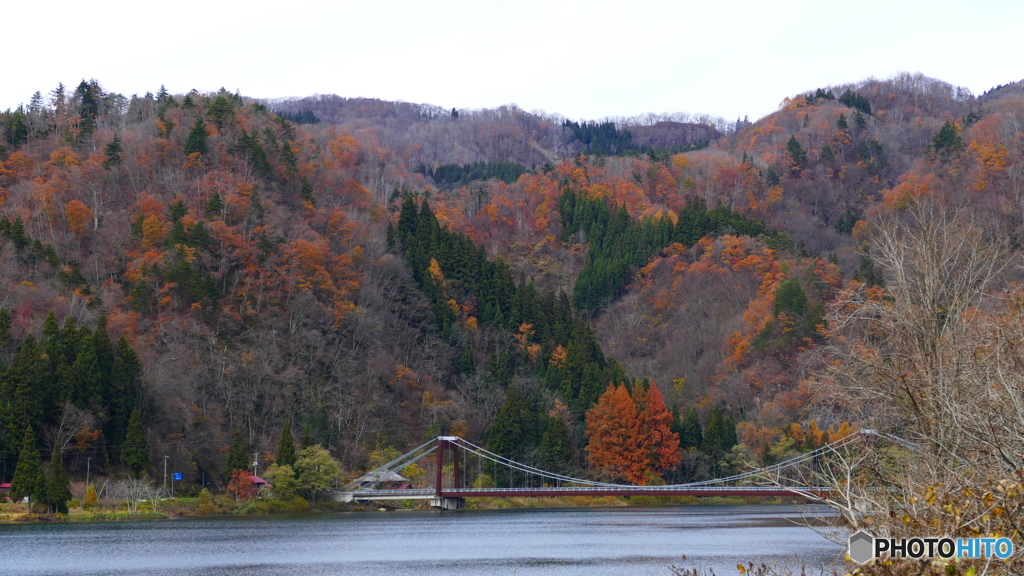 1170396 川と橋と紅葉@福島県柳津