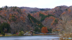 1170396 川と橋と紅葉@福島県柳津