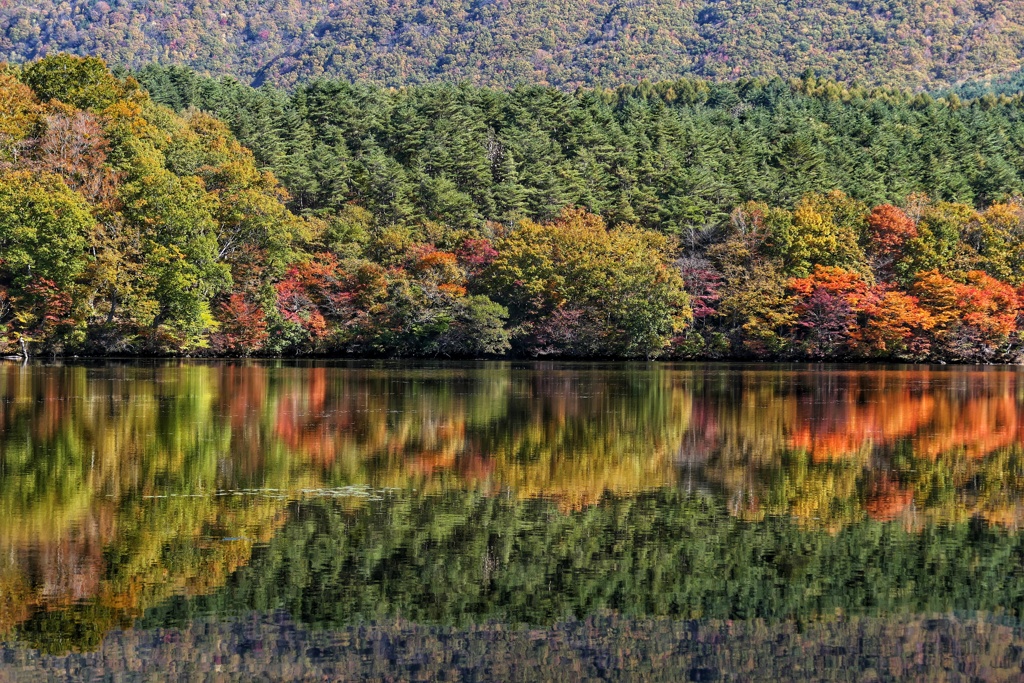 観音沼森林公園