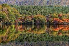 観音沼森林公園 観音沼森林公園