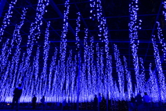 イルミネーション３