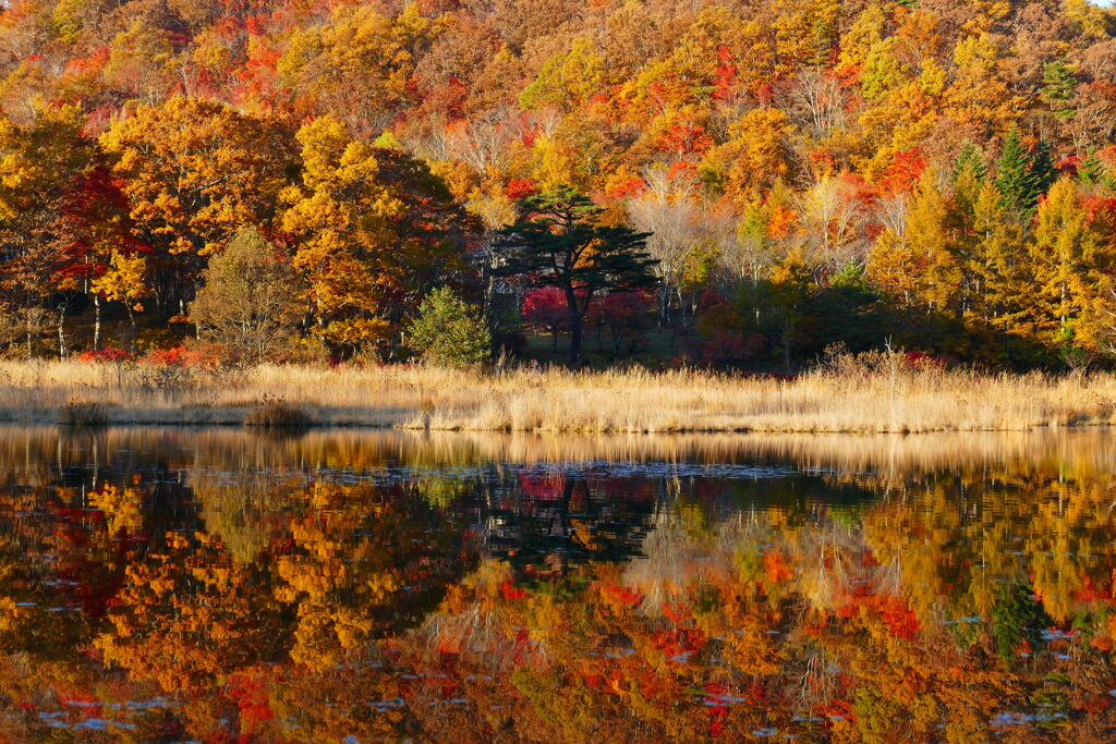 観音沼森林公園１