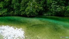 お気に入りの川、その１