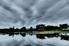 雨の大池公園