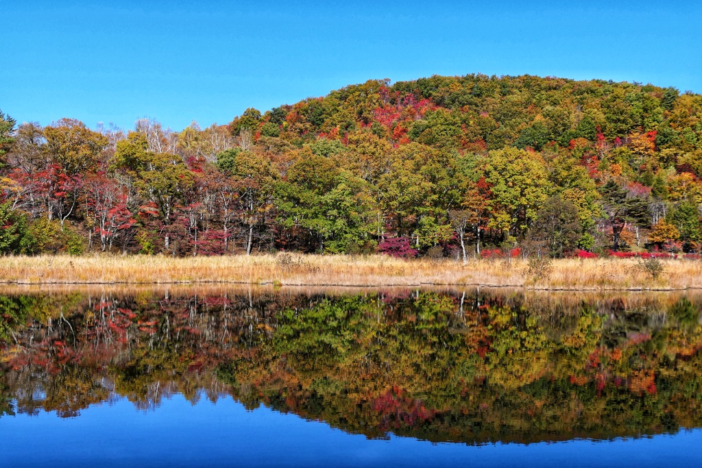 観音沼森林公園